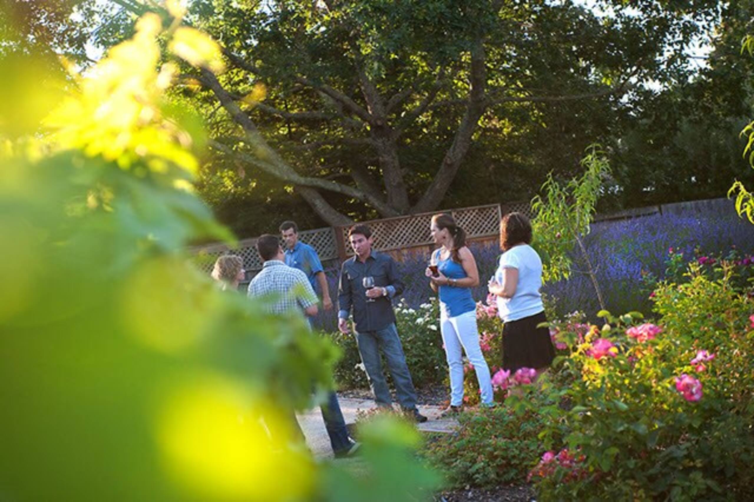 WALK to the wineries from this winemaker's home. - Photo 13