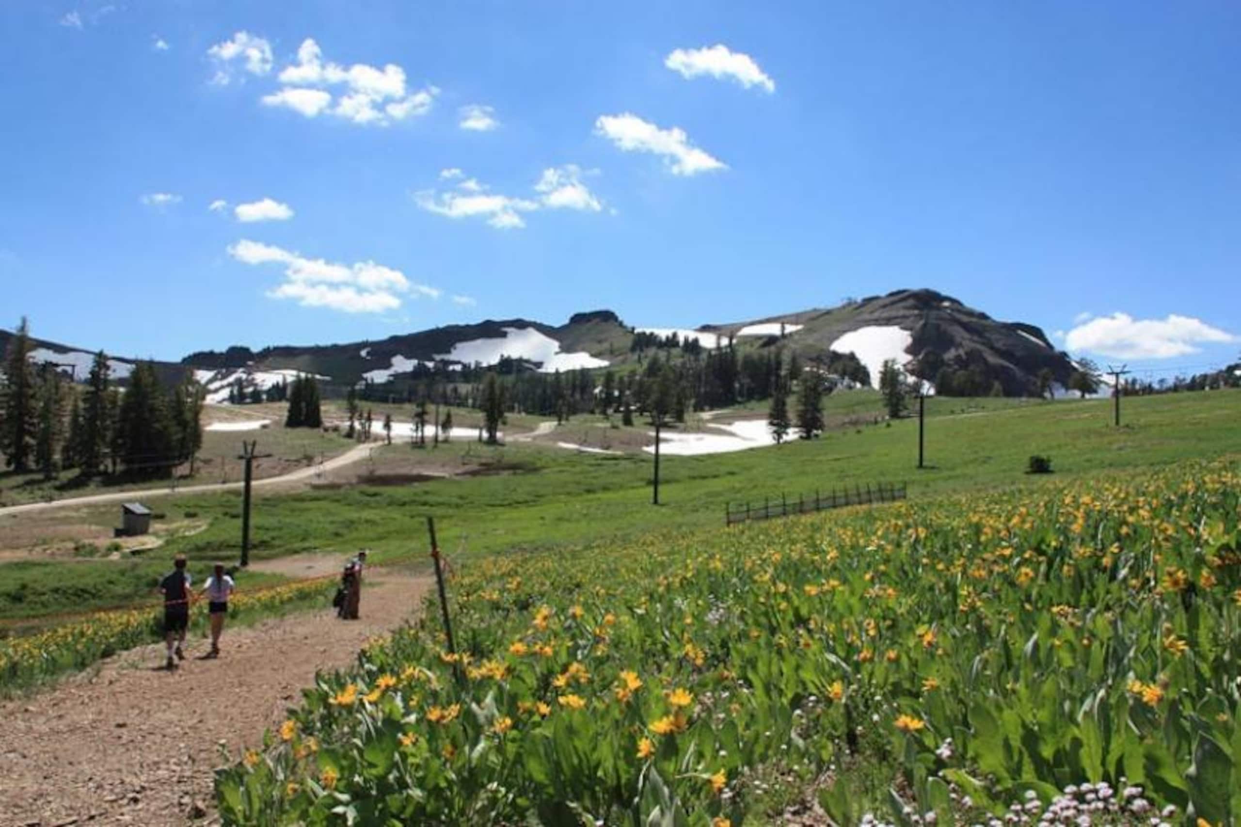 Powder Moon Luxury 5BR Home 20%Off Midweek Special - Photo 65