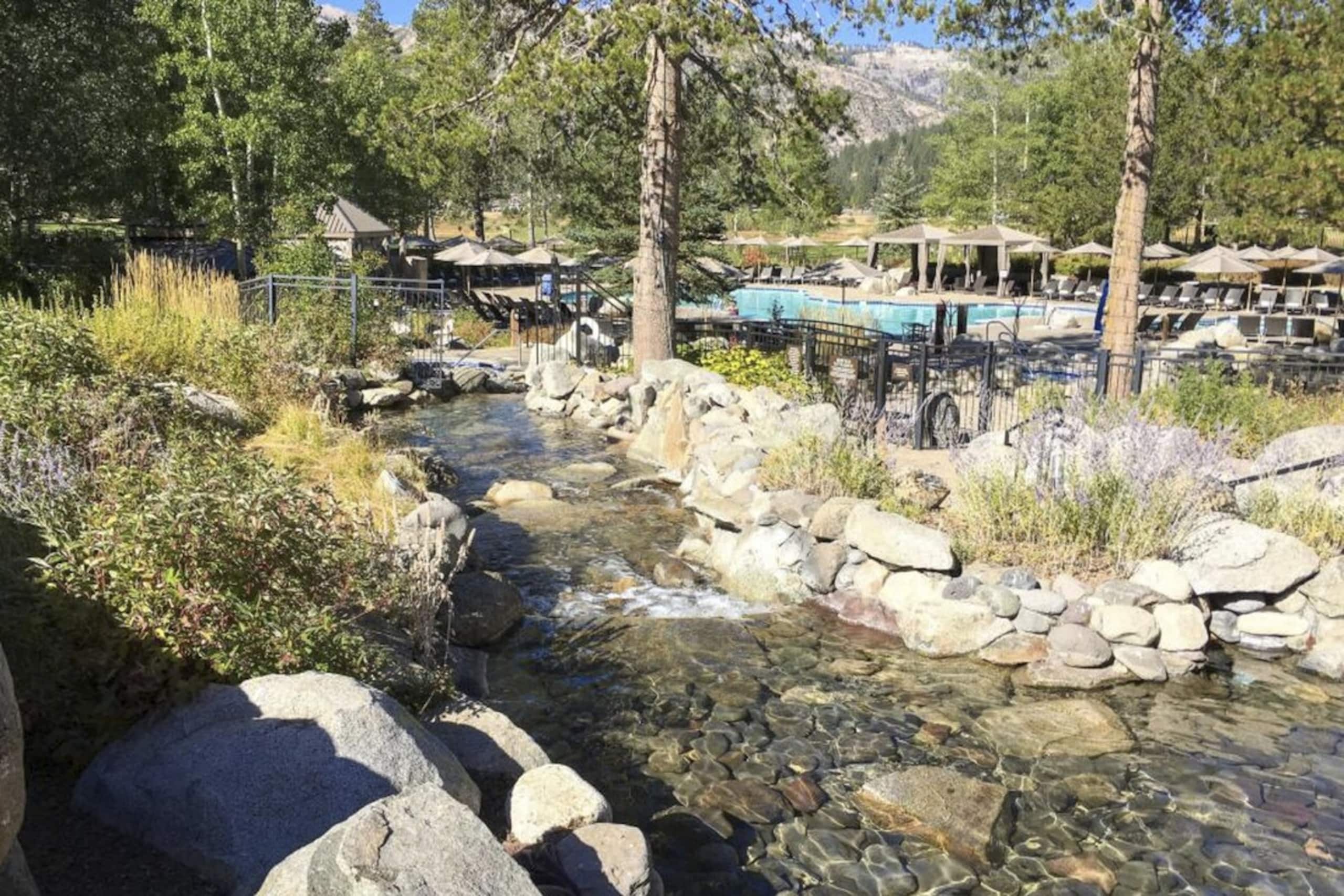 Resort Perks Everline Corner Retreat w/ 3 Units - Photo 40