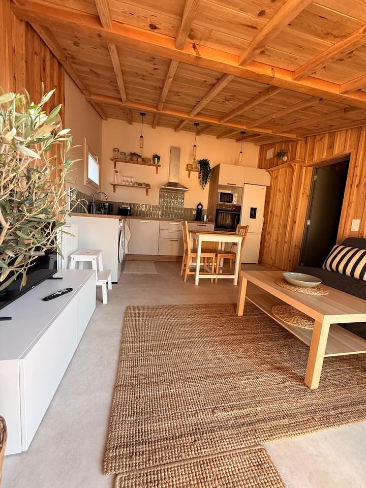 Appartement Moderne - Biganos