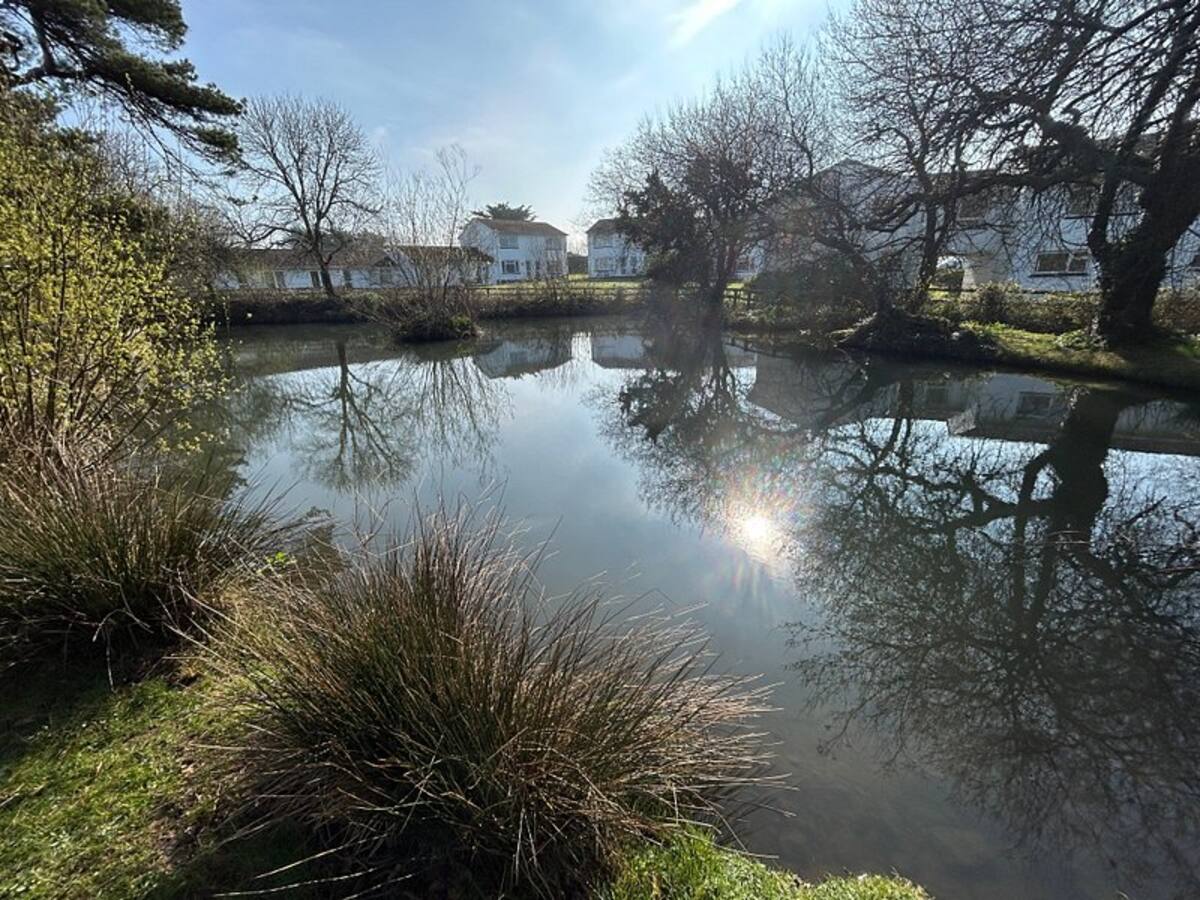 Devon Delight photo 6