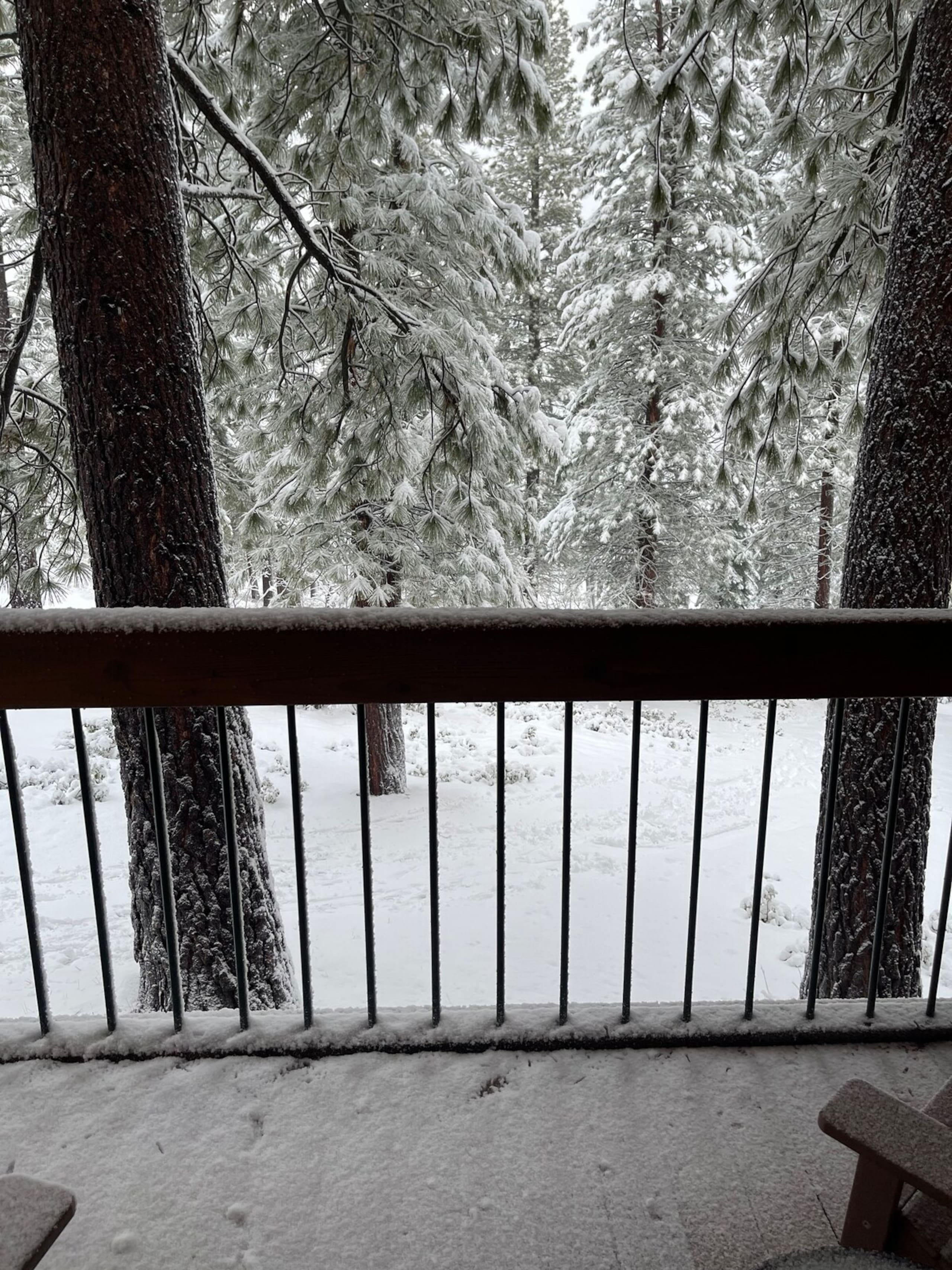 Ultimate Northstar Ski Condo - Photo 27