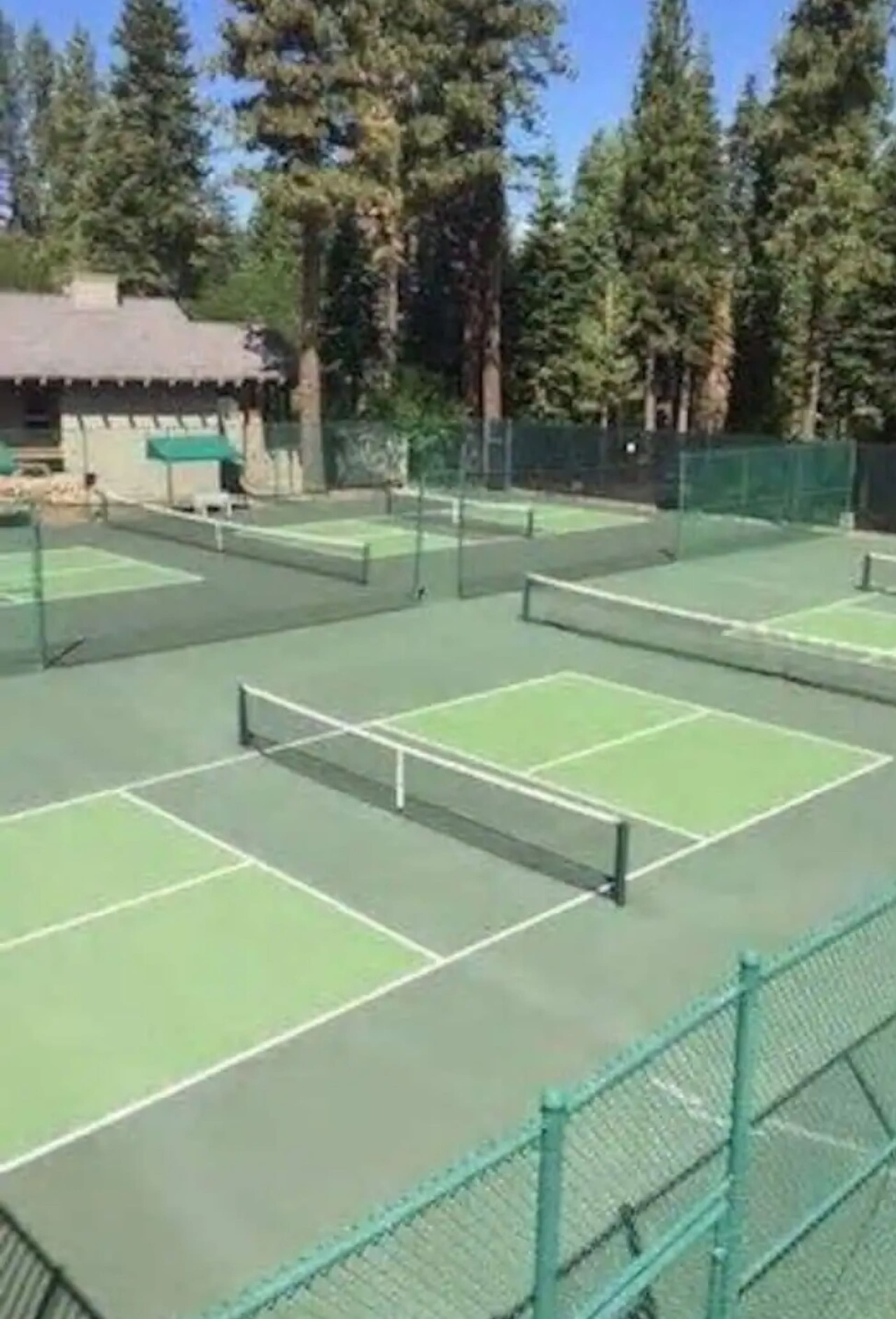Silver Strike at Northstar - Photo 26