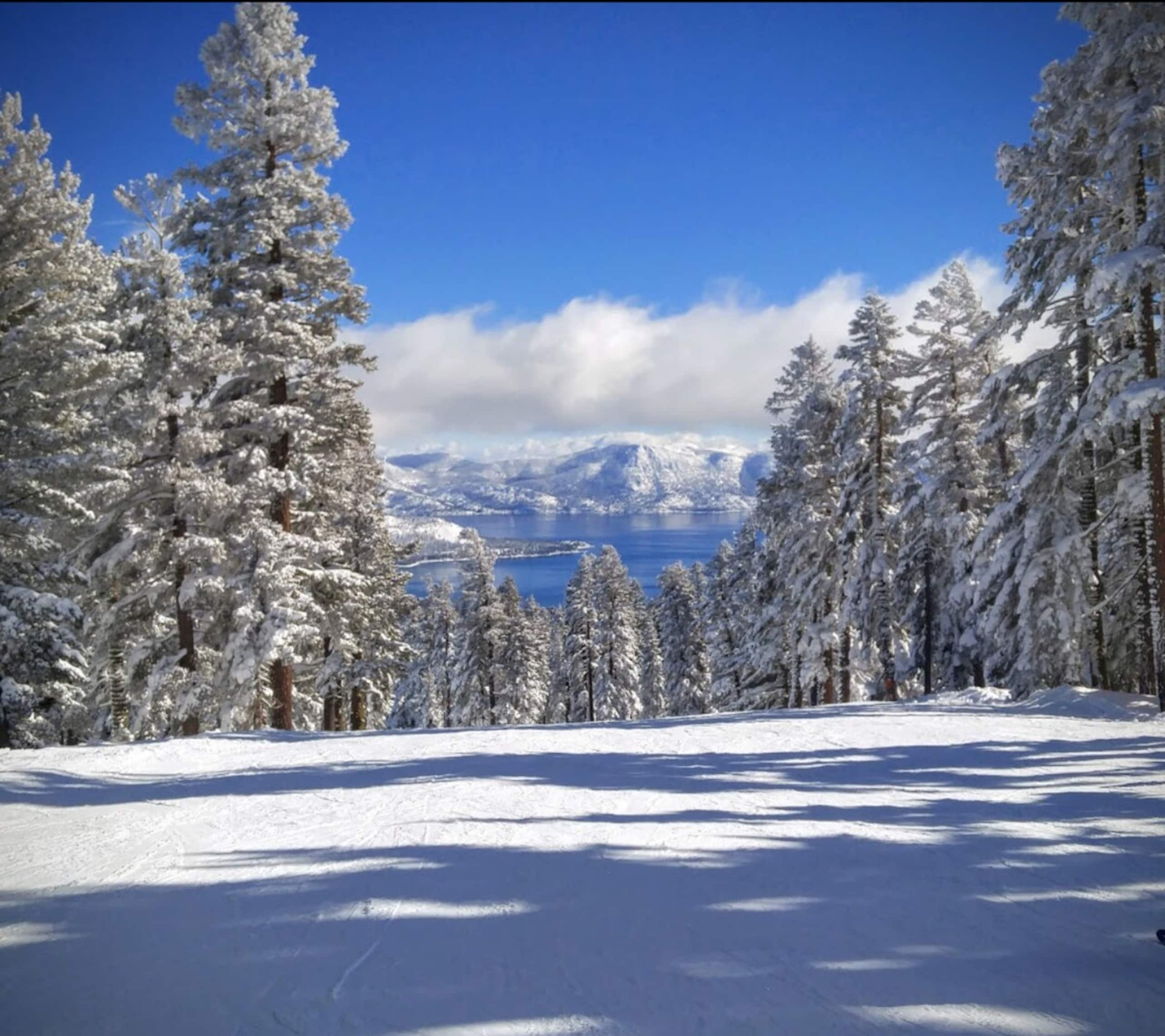 Silver Strike at Northstar - Photo 20