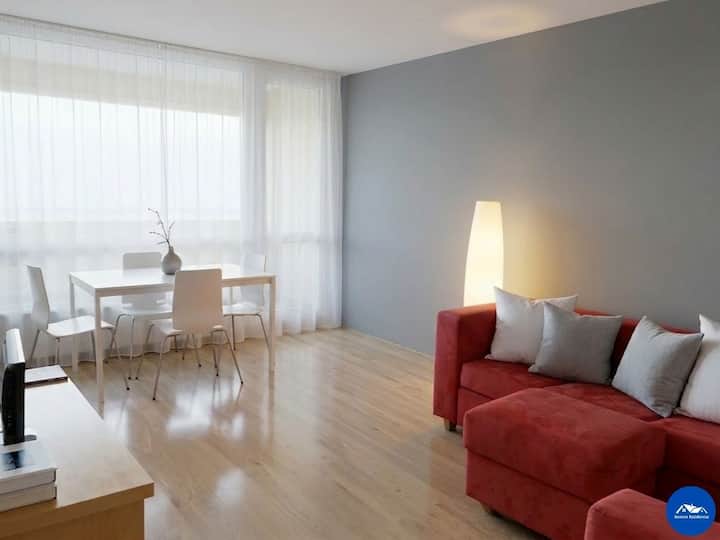 Beautiful 1-bedroom Apartment In Ferney-voltaire - Ferney-Voltaire