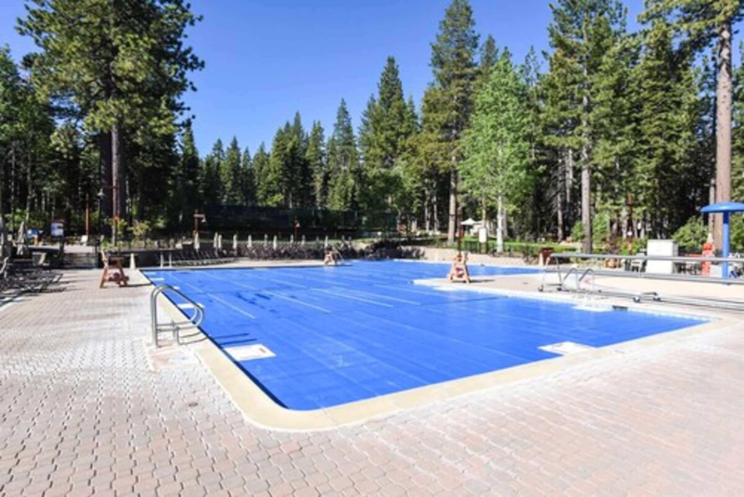 3BR Home, Forest Views, Fireplace, Pool & Shuttle - Photo 6