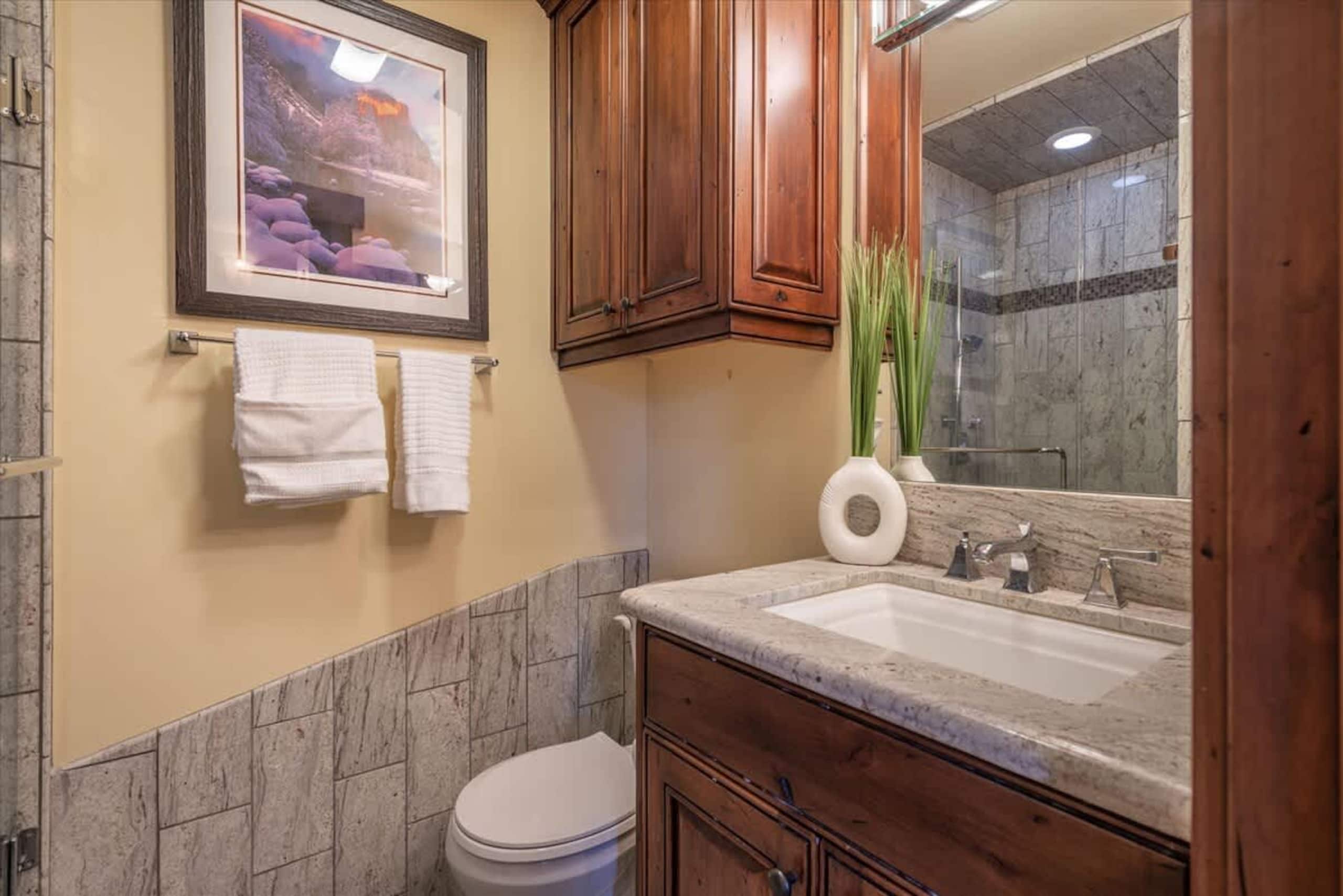 Luxury 3 BDR Northstar Condo - Photo 16