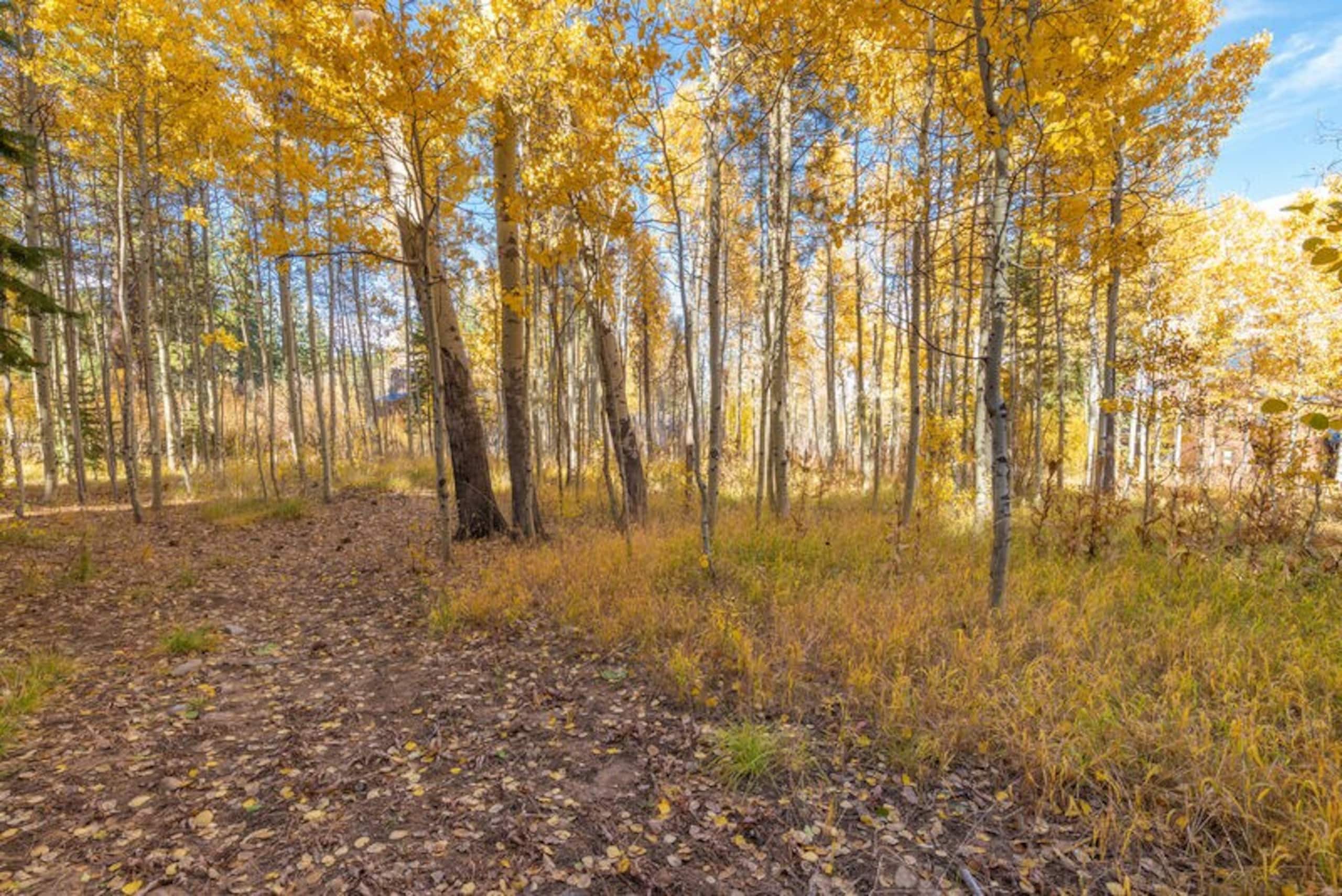 Aspen Grove GetawayWalk to Northstar - Photo 22