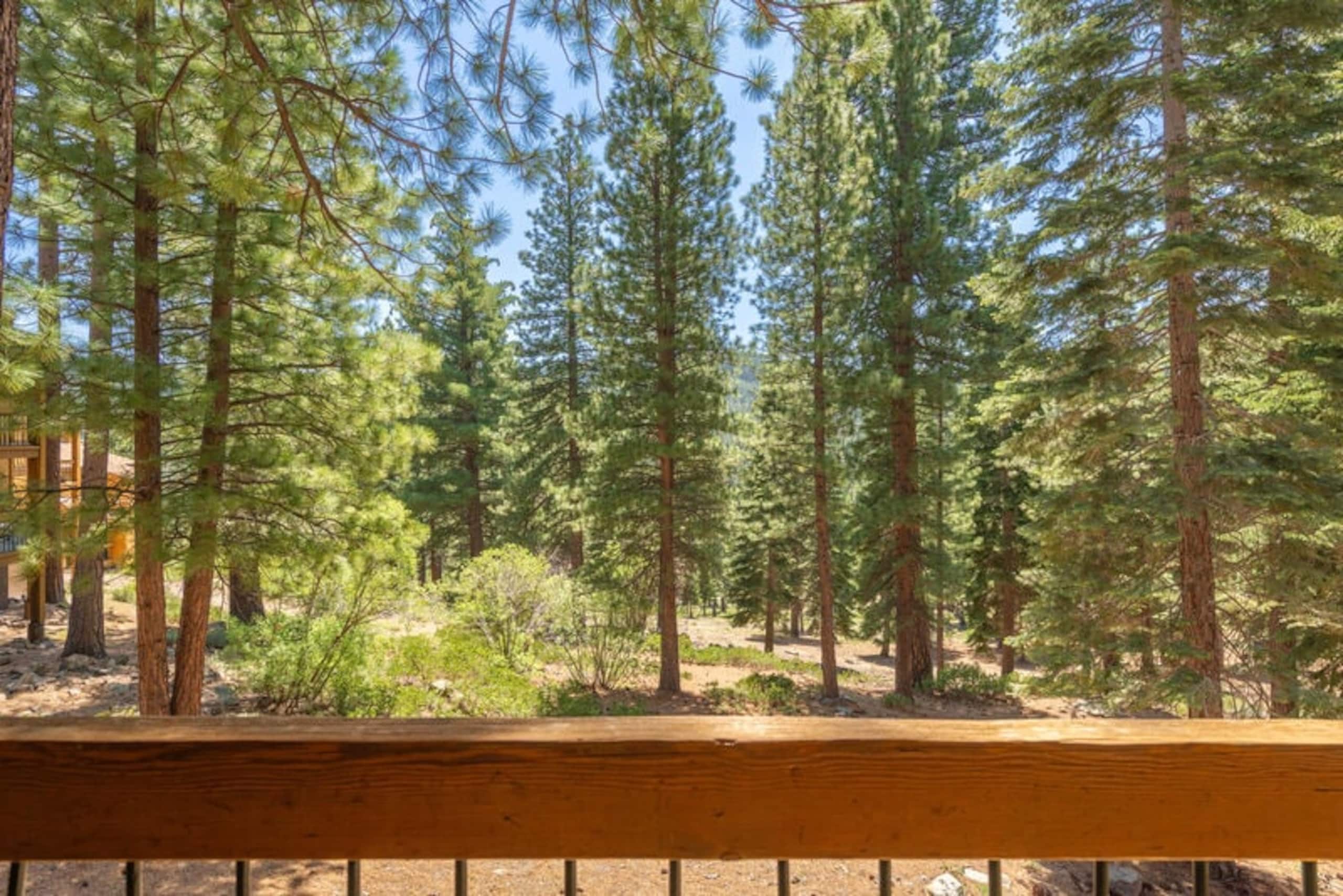 2BR Gold Bend Northstar condo- Black Bear Retreat - Photo 18