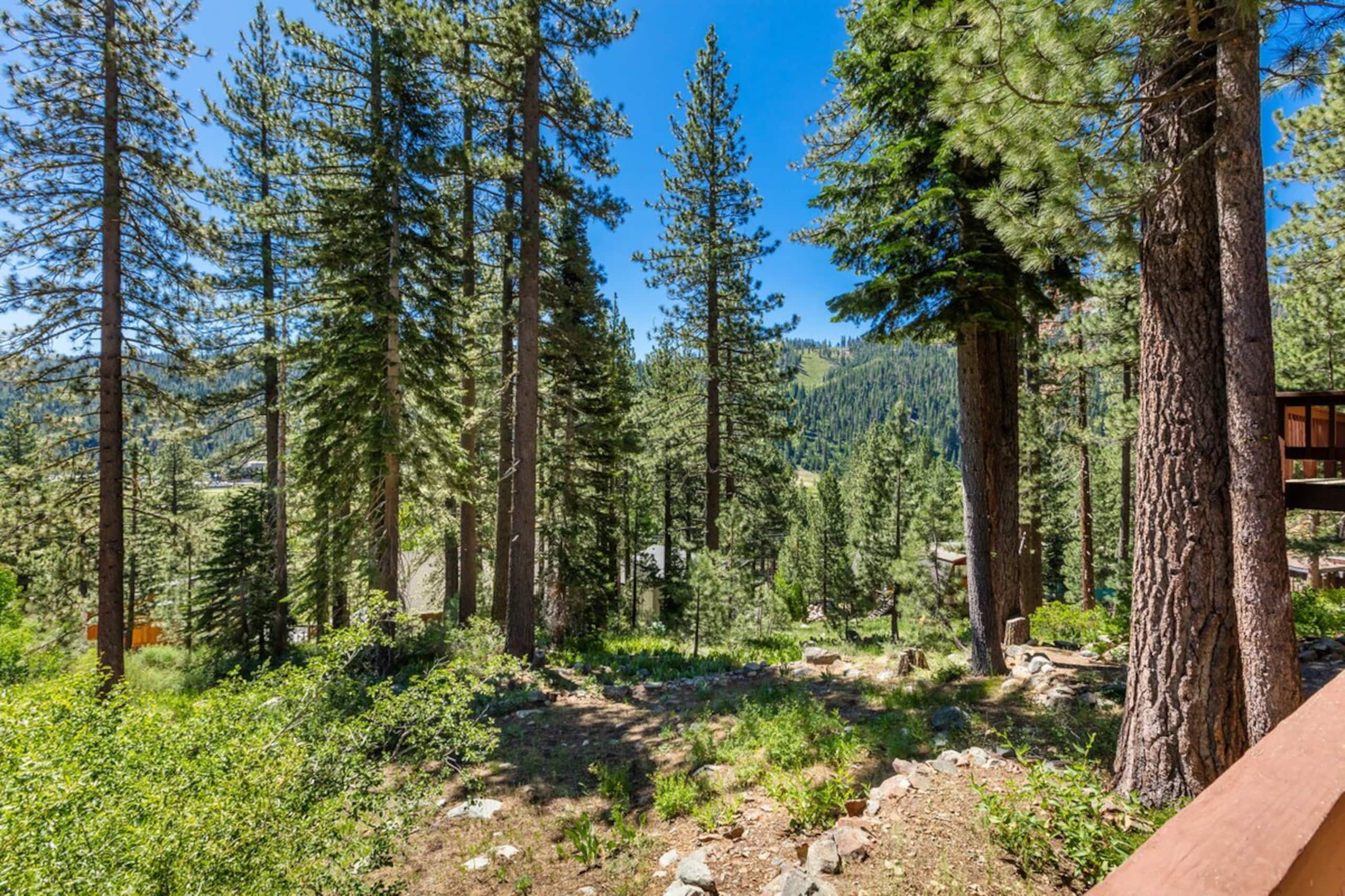 Palisades Retreat w/ Spa-close to Village+Lake - Photo 31