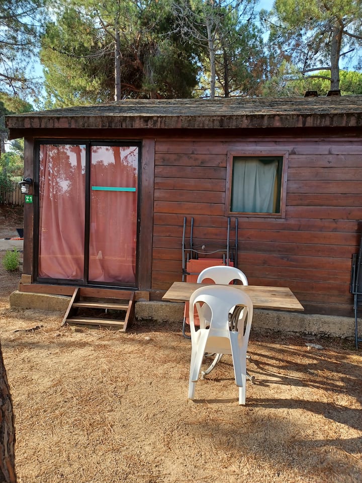Bungalow 2 Personnes (Numéro 21) - Calvi