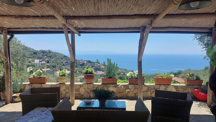 Olive Whisper - Il Sussurro Degli Ulivi - Sorrente