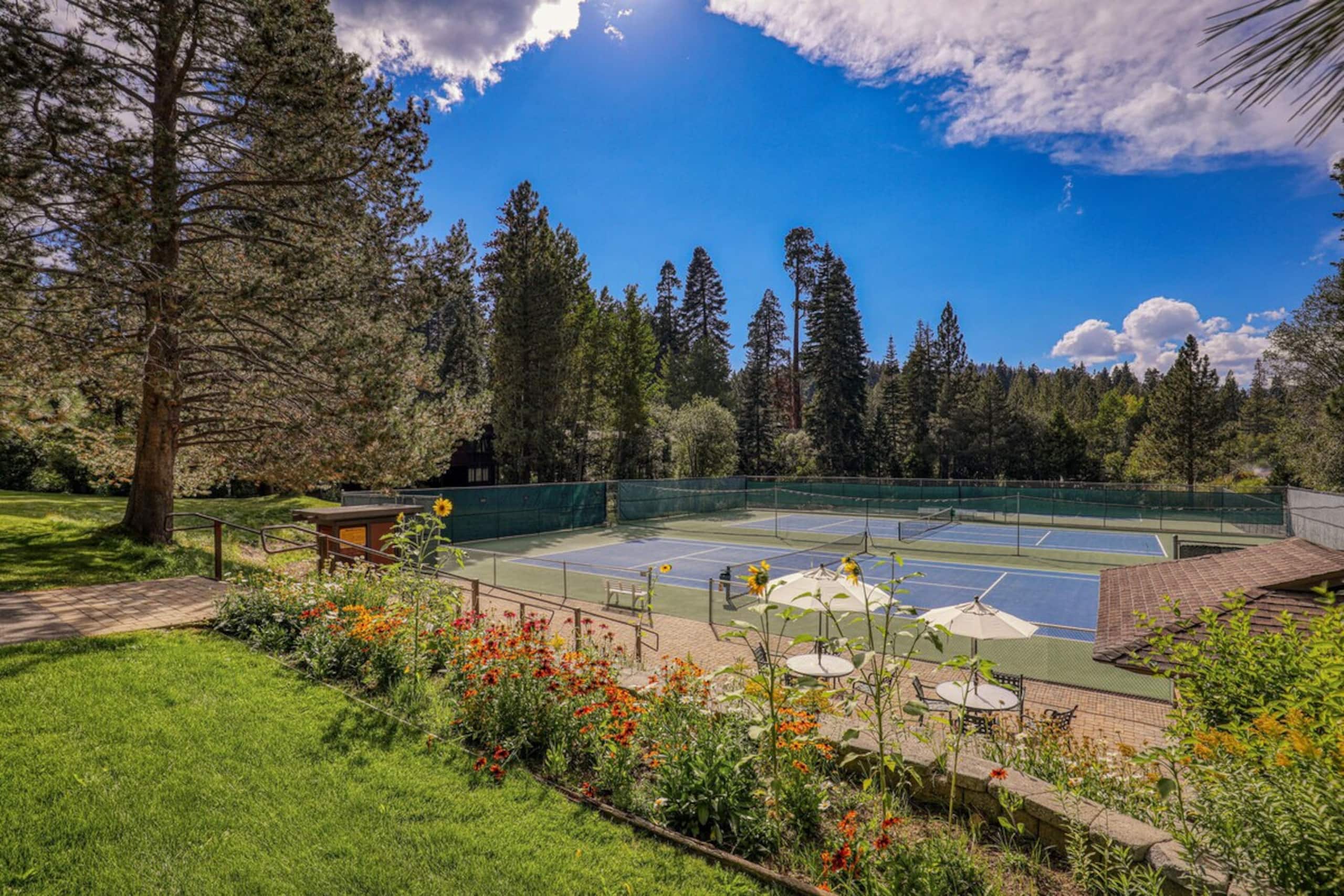 Lakefront pool/Pier/Pickleball/Tennis/Walk to town - Photo 26