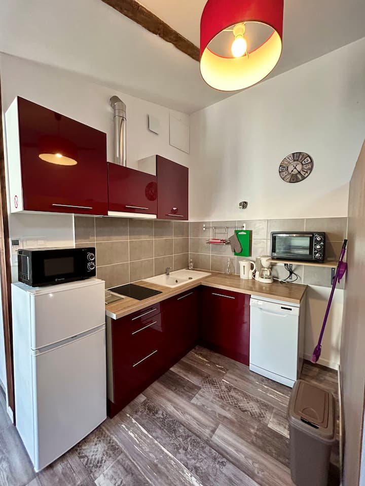 Studio Saujon - Port Ribérou à 50 M - Thermes - Saujon