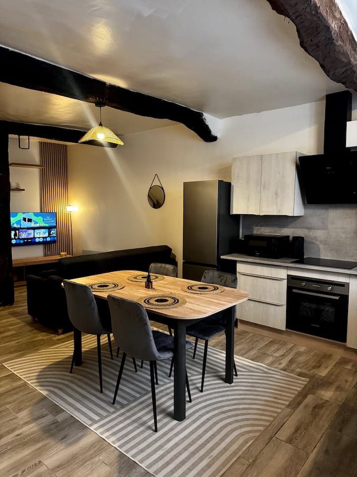 Appartement Fraîchement Rénové, Confort Et Charme - Montagnac