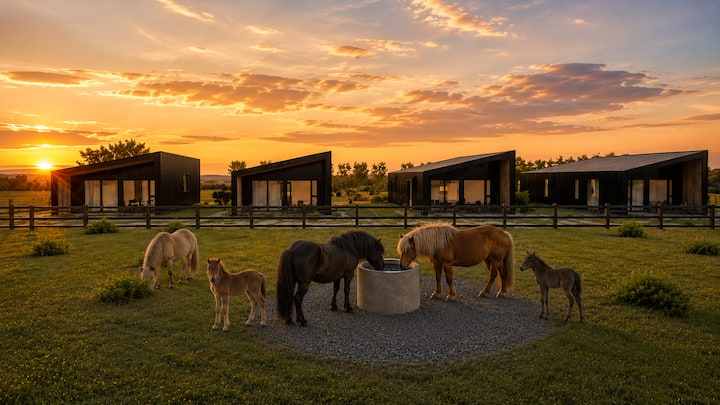 Brand New Opera Cabins W/horses - Melodía - Selfoss