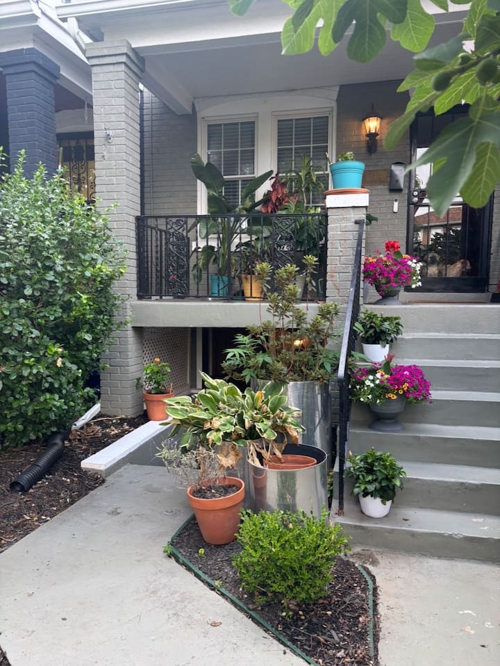 Cozy Botanical City Hideaway - Washington D. C., DC