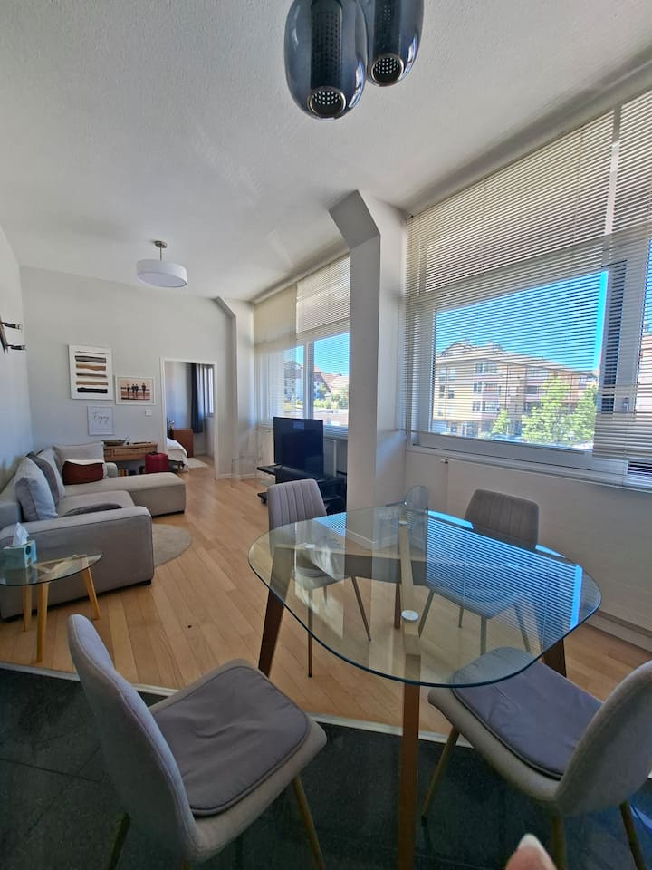 Entre Annecy Et Genève, Appartement De Caractère - Cruseilles