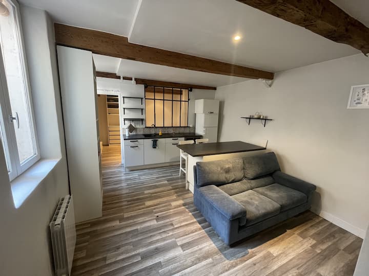 Appartement Atypique Centre Historique De Trévoux - Trévoux