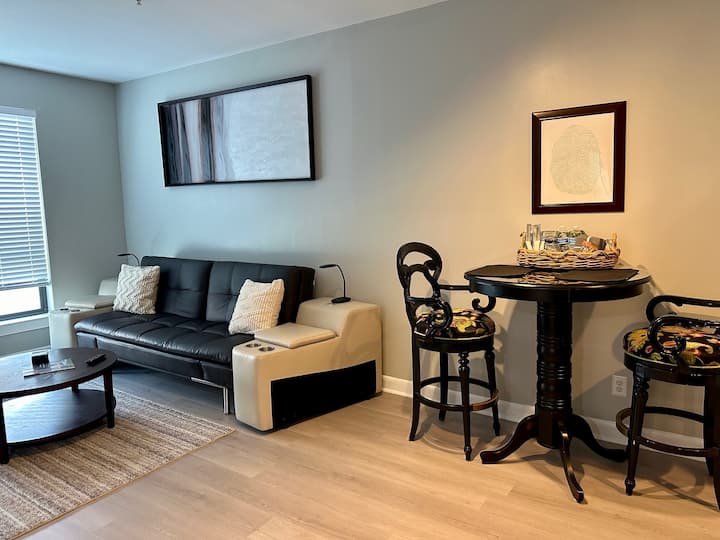 Beautiful 2 Bedroom Condo In The Heart Of Downtown - Greensboro, NC