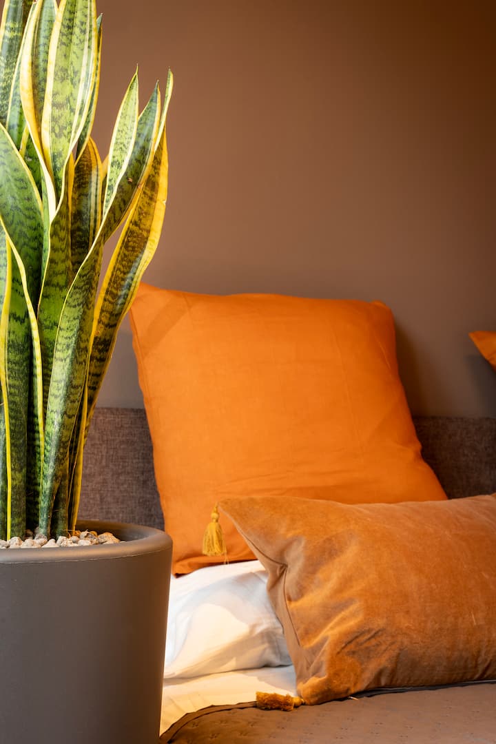 Eufemia Suites Modena – Almaforesta – 100m from Duomo - Apartments for ...