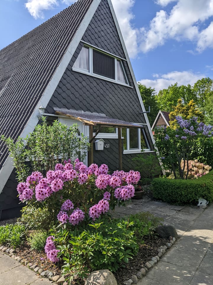 Ferienhaus Schmidt Damp Zum Wikinger 430 - Ostsee
