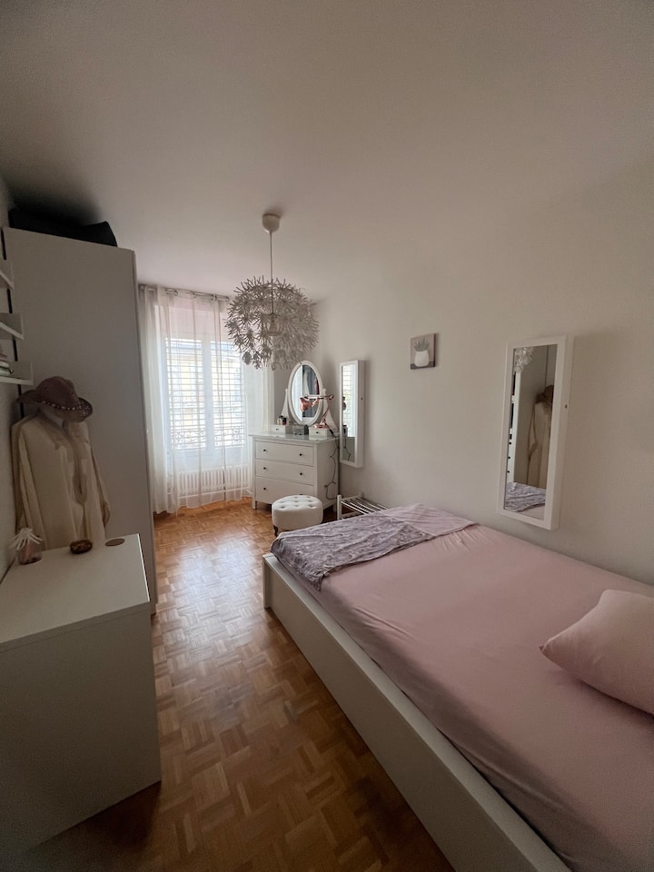 Chambre Centrale, Au Pied D'uni Mail - Ginebra