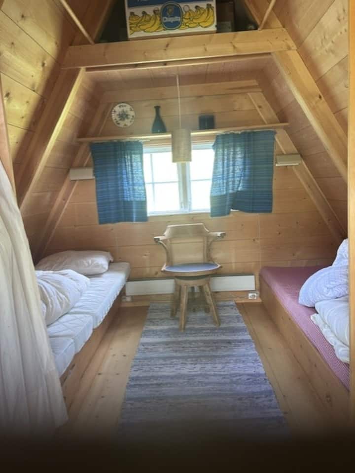 Habitación 1