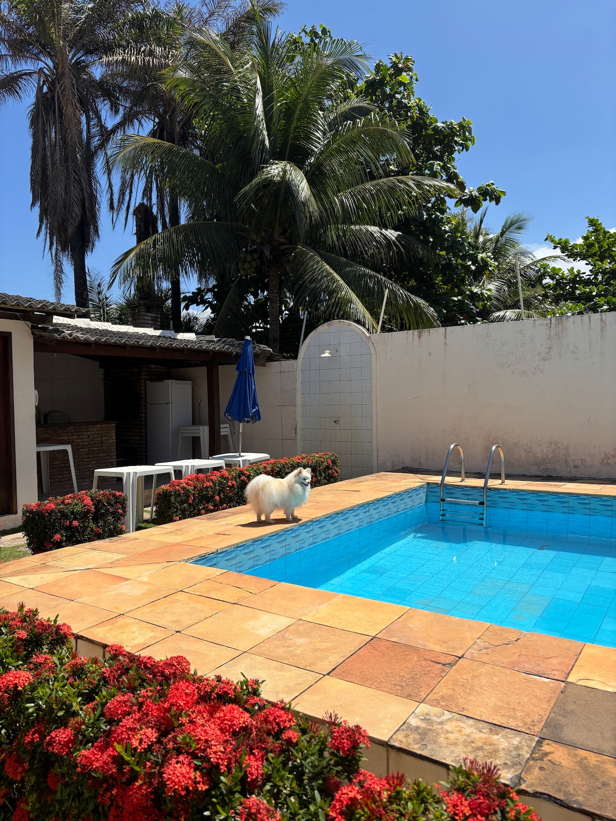 Quiet and peaceful village to relax in - Houses for Rent in Salvador ...