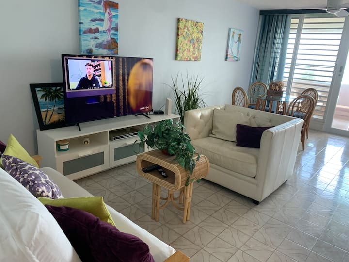 Spectacular View Oceanfront Condo - Luquillo
