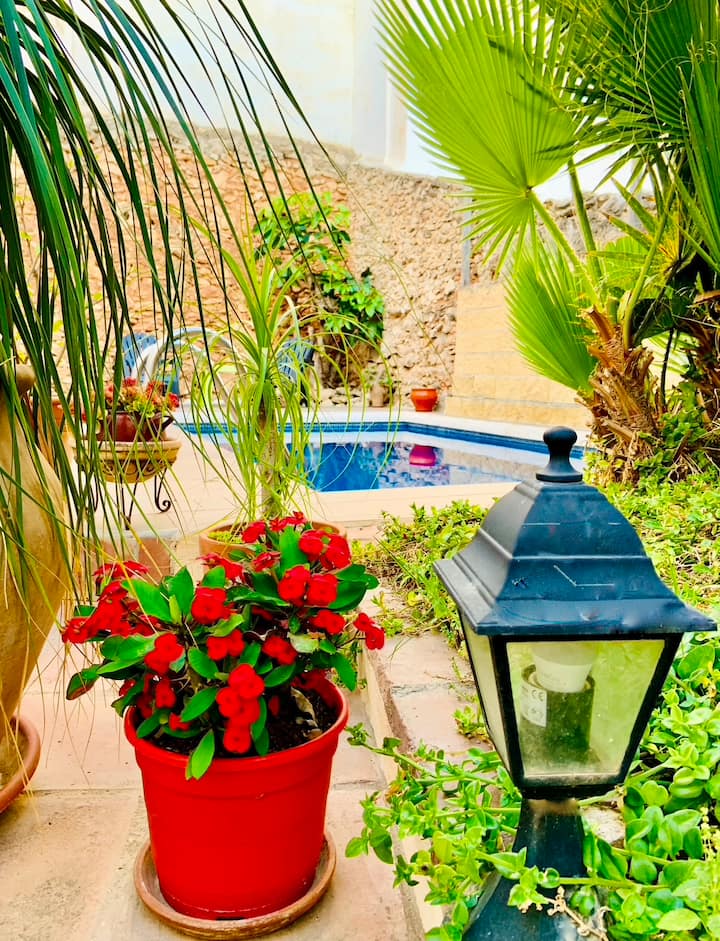 Deluxe Twin Or King Room With Balcony - Frigiliana