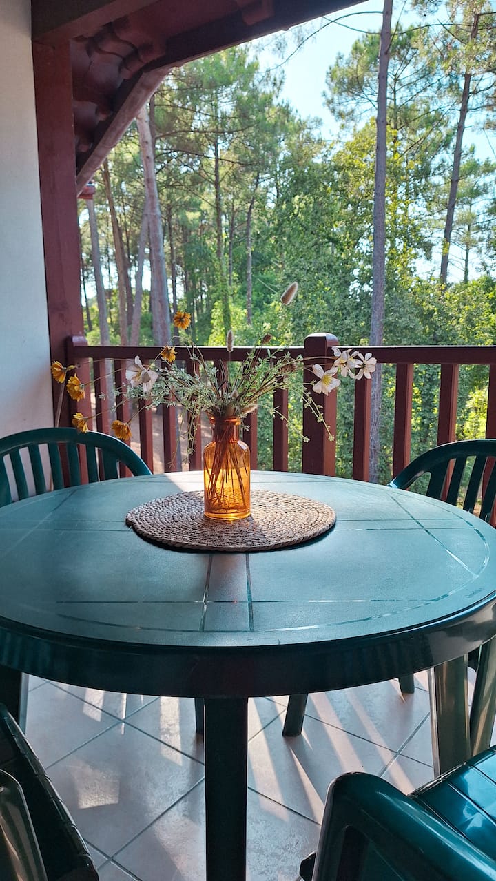 Charmant Appartement à 5 Min Du Lac De Biscarrosse - Biscarrosse