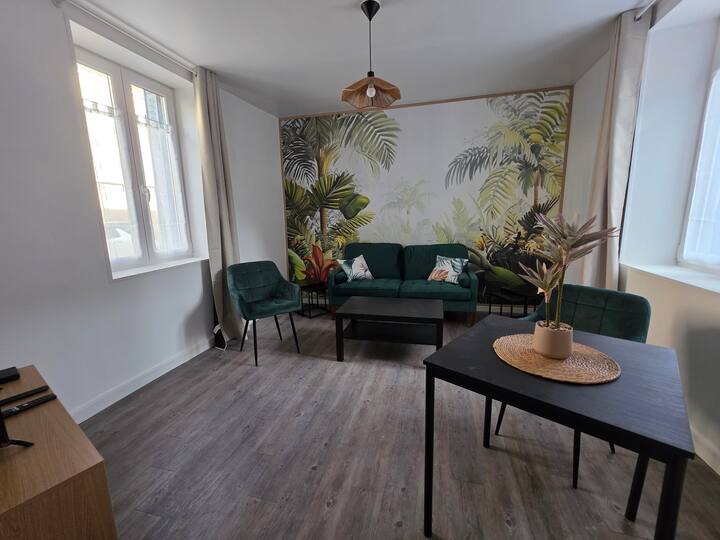 Superbe Appartement Rénové Avec Terrasse - Luxeuil-les-Bains