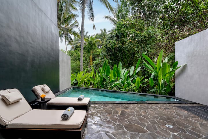 Newly Open 1 Bedroom Private Pool Villa In Ubud - Indonésie
