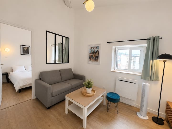 Le Villote  601  Foix Centre - Foix