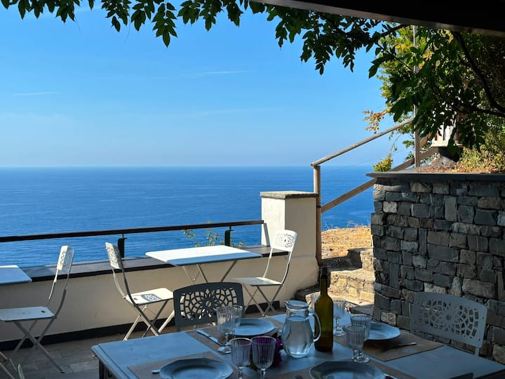 Villa Serra - Amazing Sea View, A/c And Parking - Monterosso al Mare