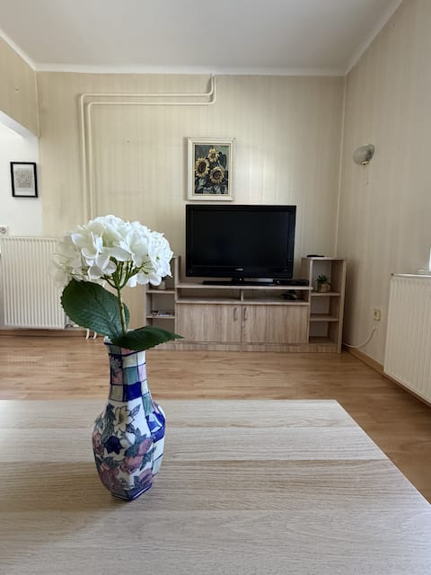 Top Airbnb: Jesenice Holiday Apartment in Jesenice