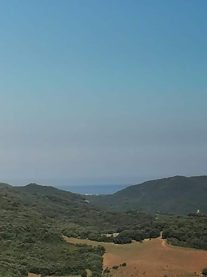 Tasso - Sartène