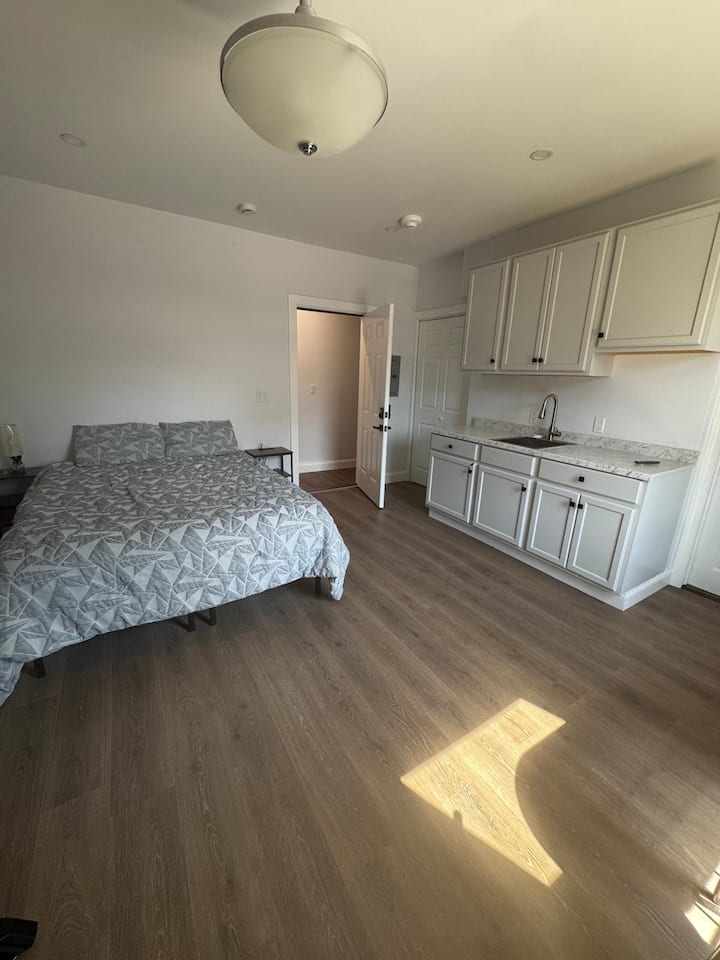 Newly Renovated Studio Quick Commute To Boston - Wellesley, MA