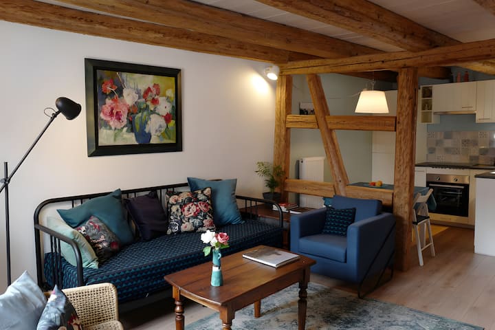 Casa Lucia - Duplex Climatisé - Obernai