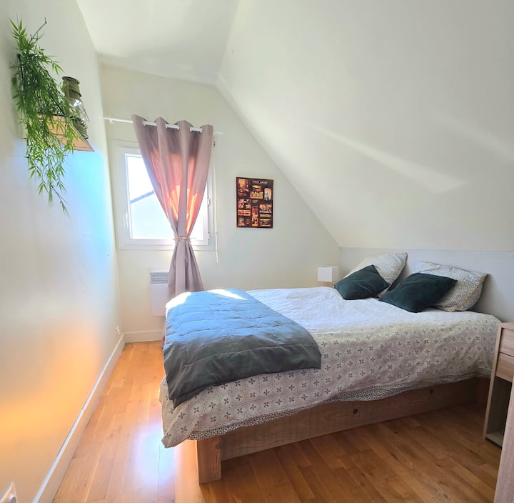 Habitación 1