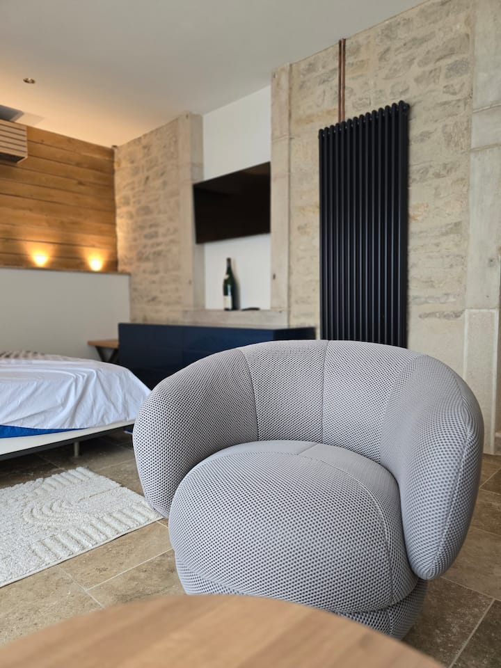 Appartement De Charme  Domaine ÉMile Castille - Dijon