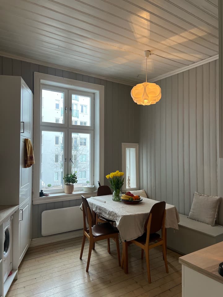 Sjarmerende Leilighet I Hjertet Av Oslo - Oslo