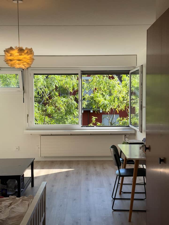 Bright Flat In Heart Of Zurich - Zurigo
