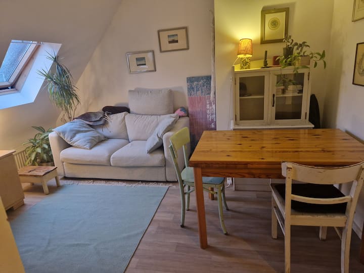 Gemütliche 2-zimmer Wohnung Mitten In Ehrenfeld - Cologne