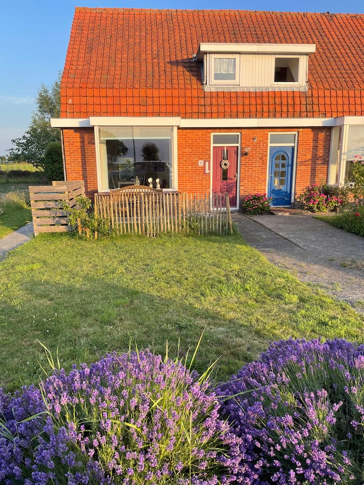 Ferienhaus Little Buddha - Nieuwvliet
