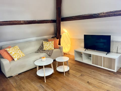 Top performing Airbnb: Charming apartment close to the city center in Caen