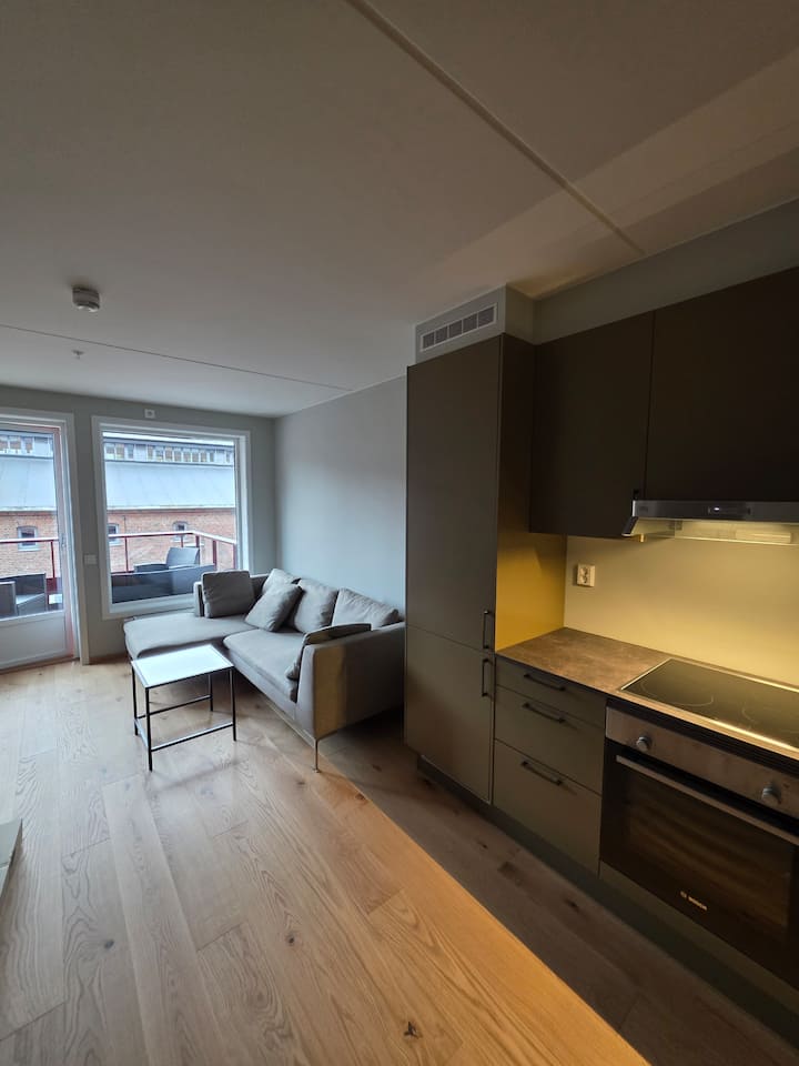 Absolutely New Apartment. Free Parking - Oslo