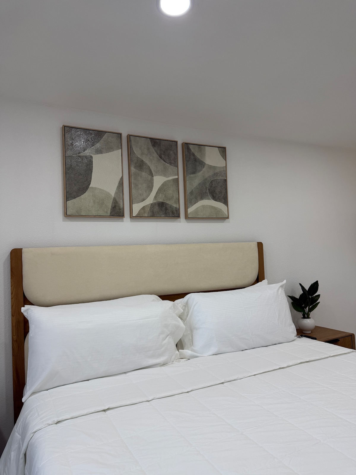 Minimalist Apartment