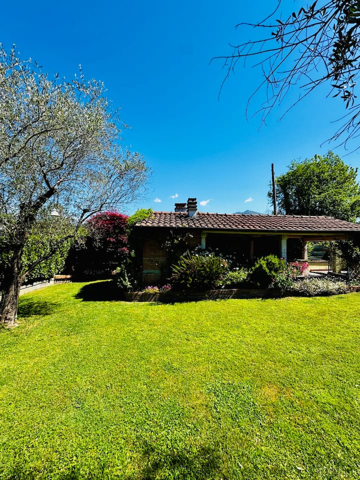 Casa Oliva - Massa